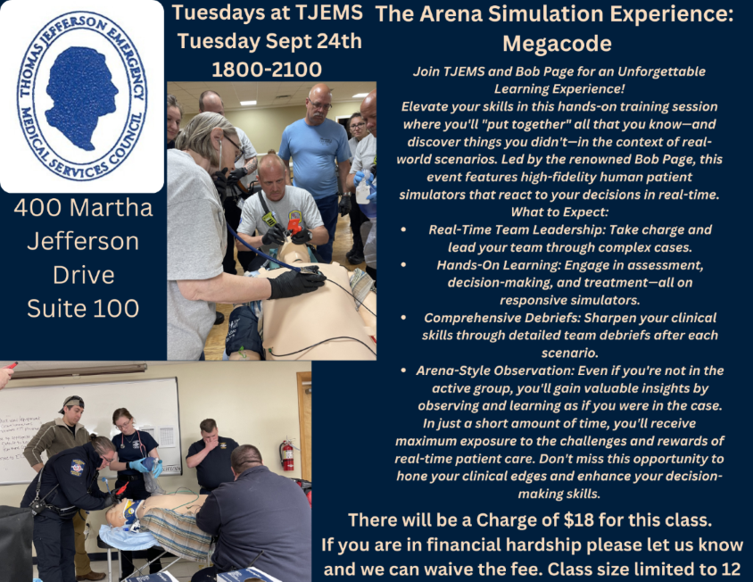 TJEMS_924_Simulation3.png